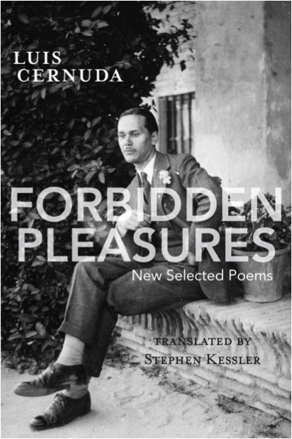 Forbidden Pleasures Cover